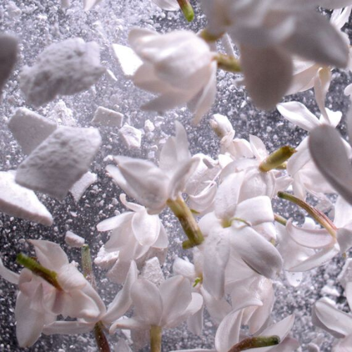 Bougie Parfumée - N°10 Voile de coton