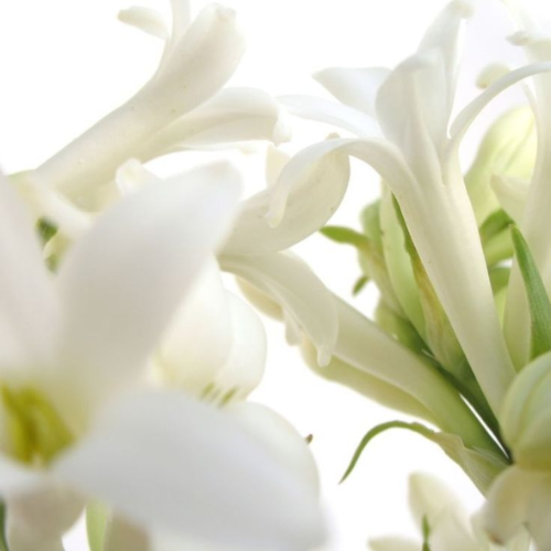 Bougie Parfumée - N°9 Jardin Secret