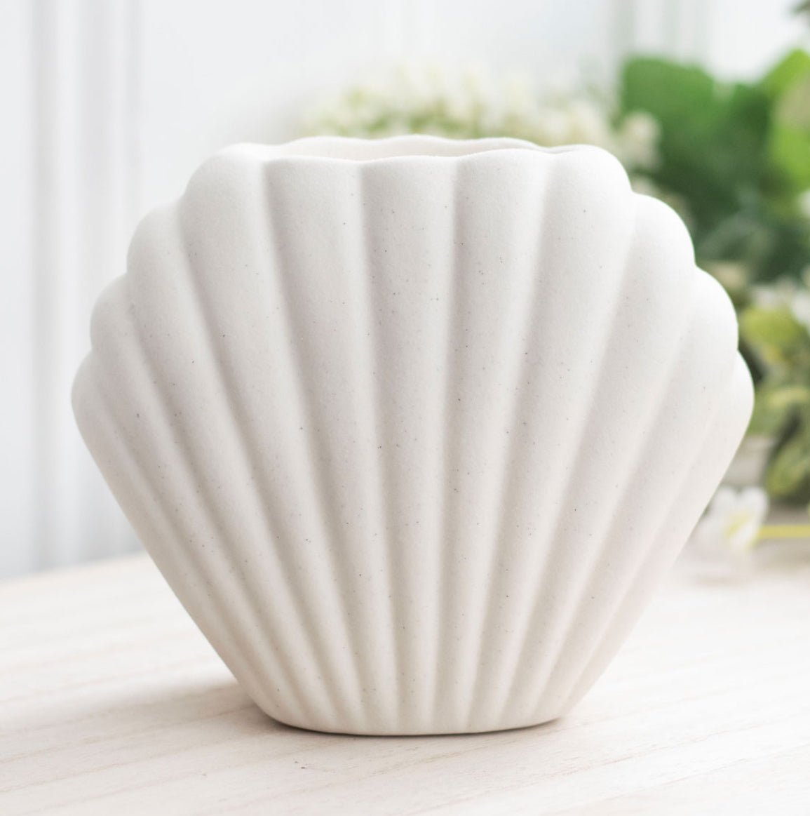 Brûleur Coquille de Lune